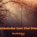 SohbetimSen Canlı Chat Ortamı