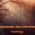 SohbetimSen Canlı Chat Ortamı