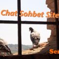 Chat Sohbet Siteleri